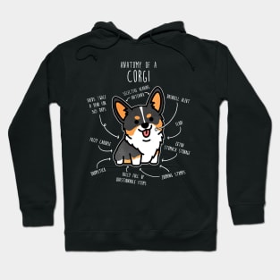 Corgi Tri Color Dog Anatomy Hoodie